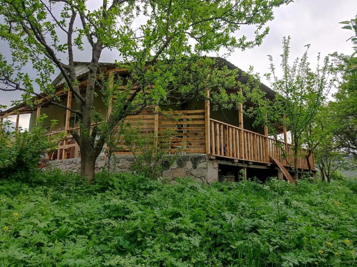 Mesxta Hotel Nakalakevi Exterior photo