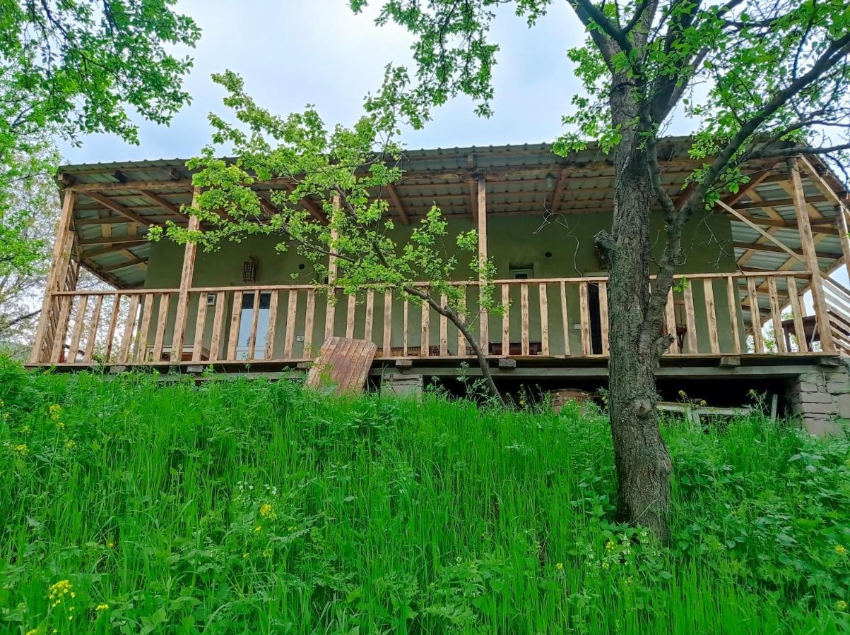 Mesxta Hotel Nakalakevi Exterior photo