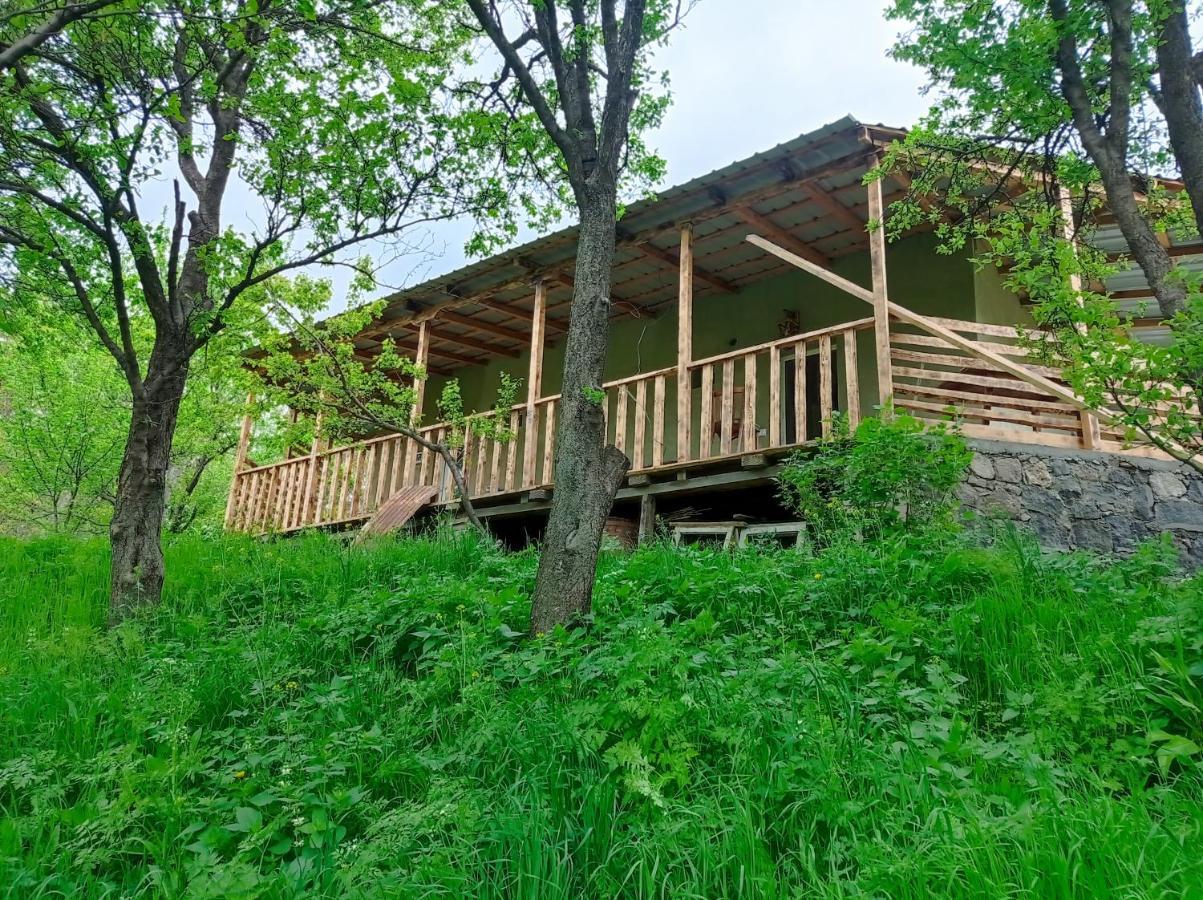 Mesxta Hotel Nakalakevi Exterior photo