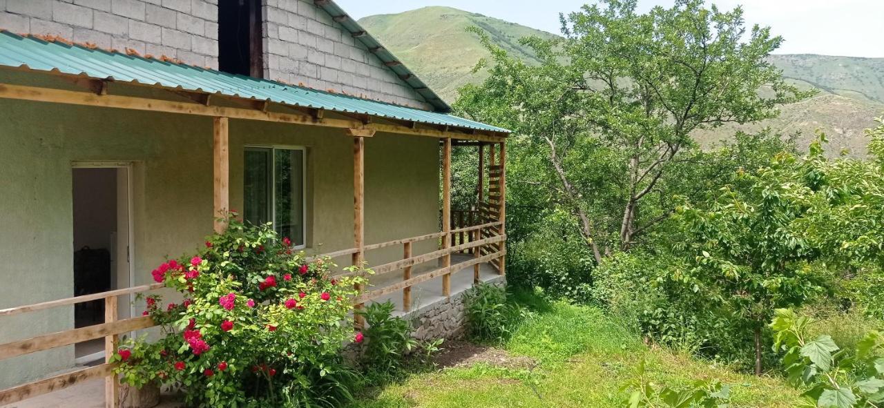 Mesxta Hotel Nakalakevi Exterior photo